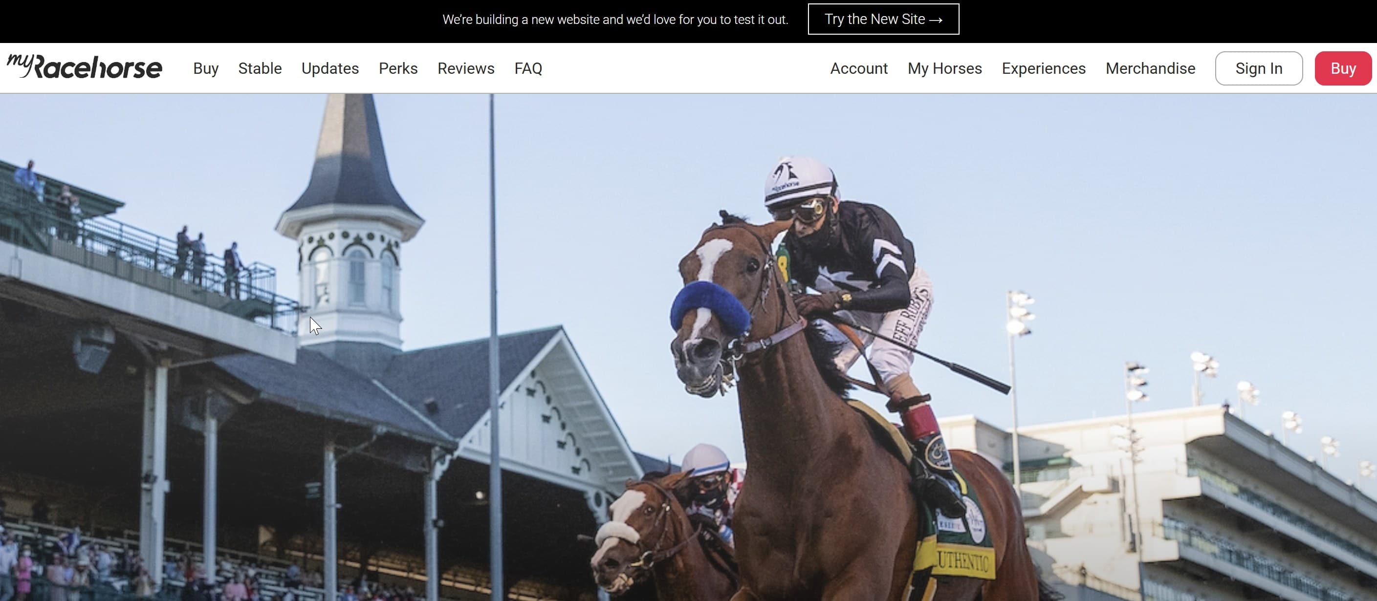 MyRacehorse screenshot